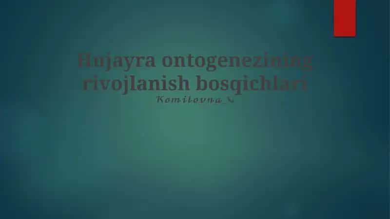 Hujayra ontogenezining rivojlanish bosqichlari