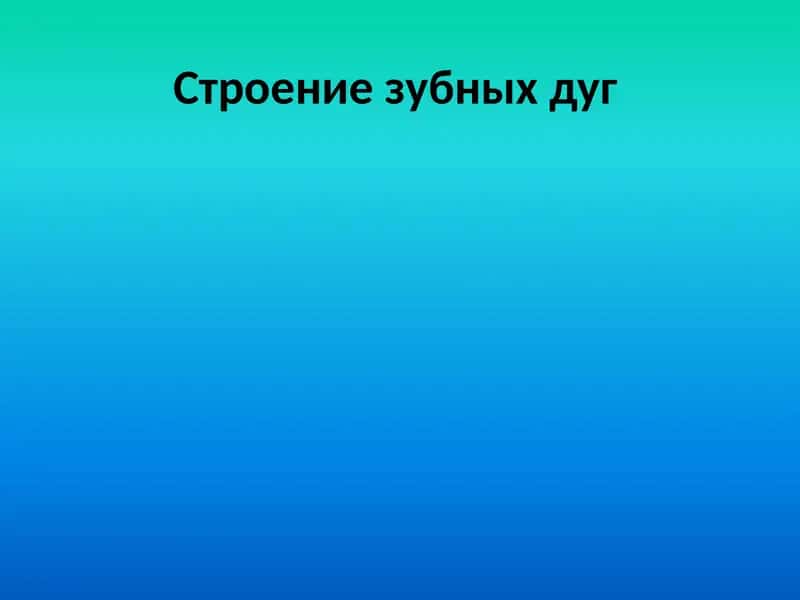 Строение зубных дуг