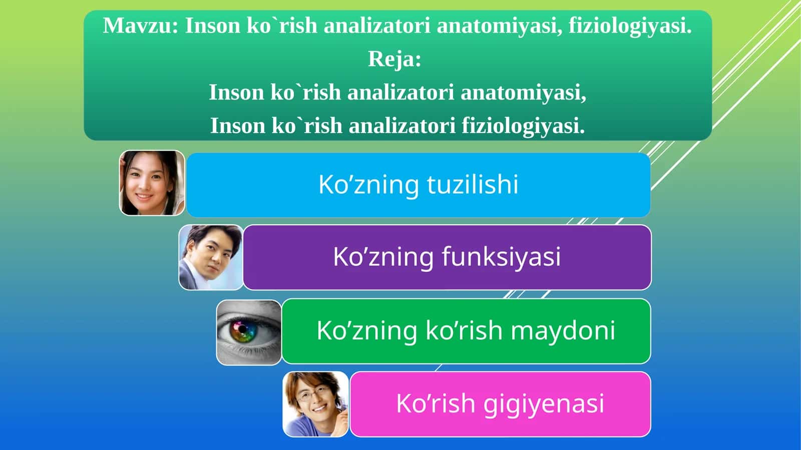 Ko’zning tuzilishi