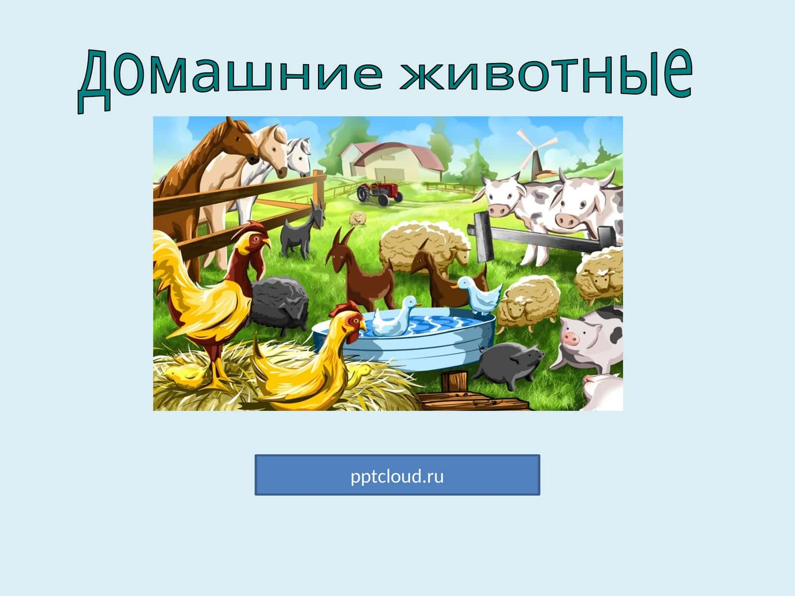 домашние животные