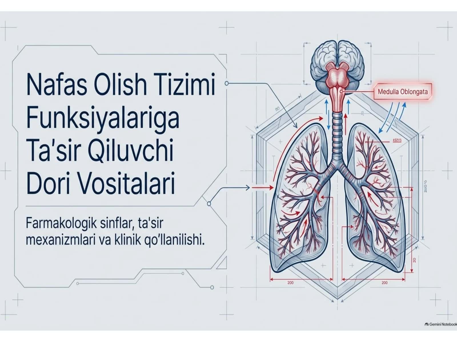 nafas olish yollariga tasir qiluvchi moddalar