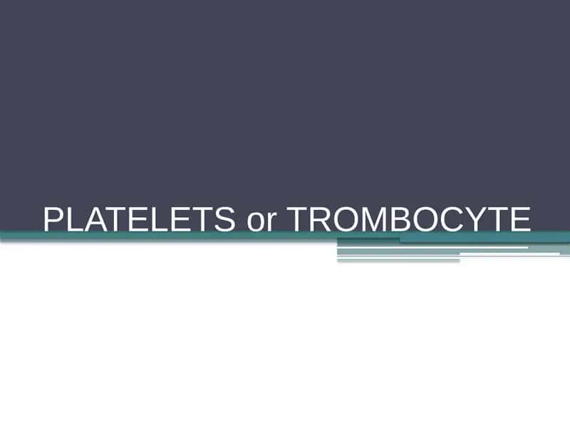 PLATELETS or TROMBOCYTE