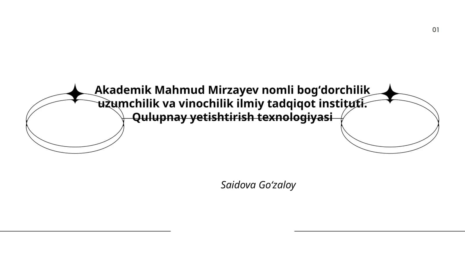 Qulupnay yetishtirish texnologiyasi