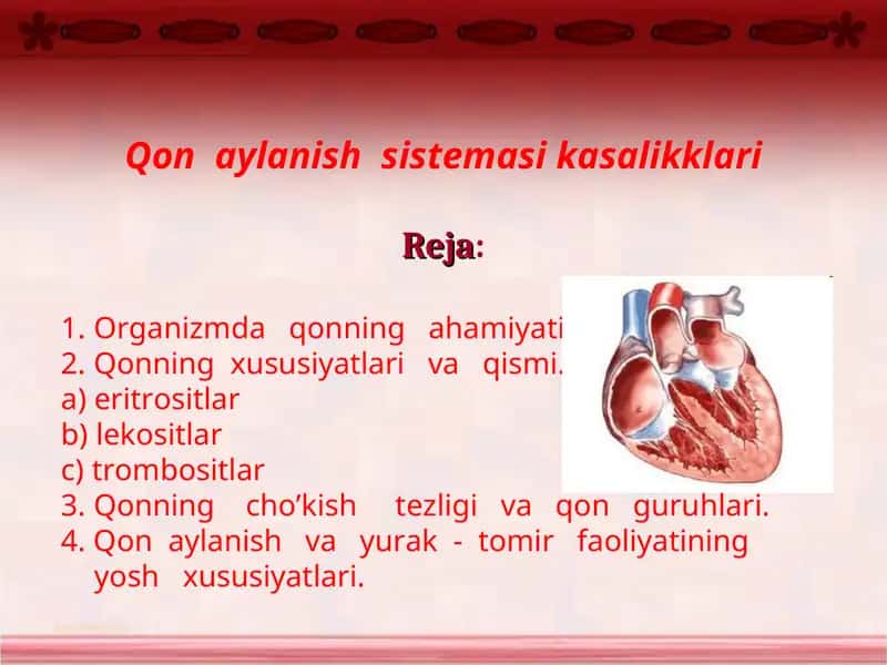 Qon aylanish sistemasi