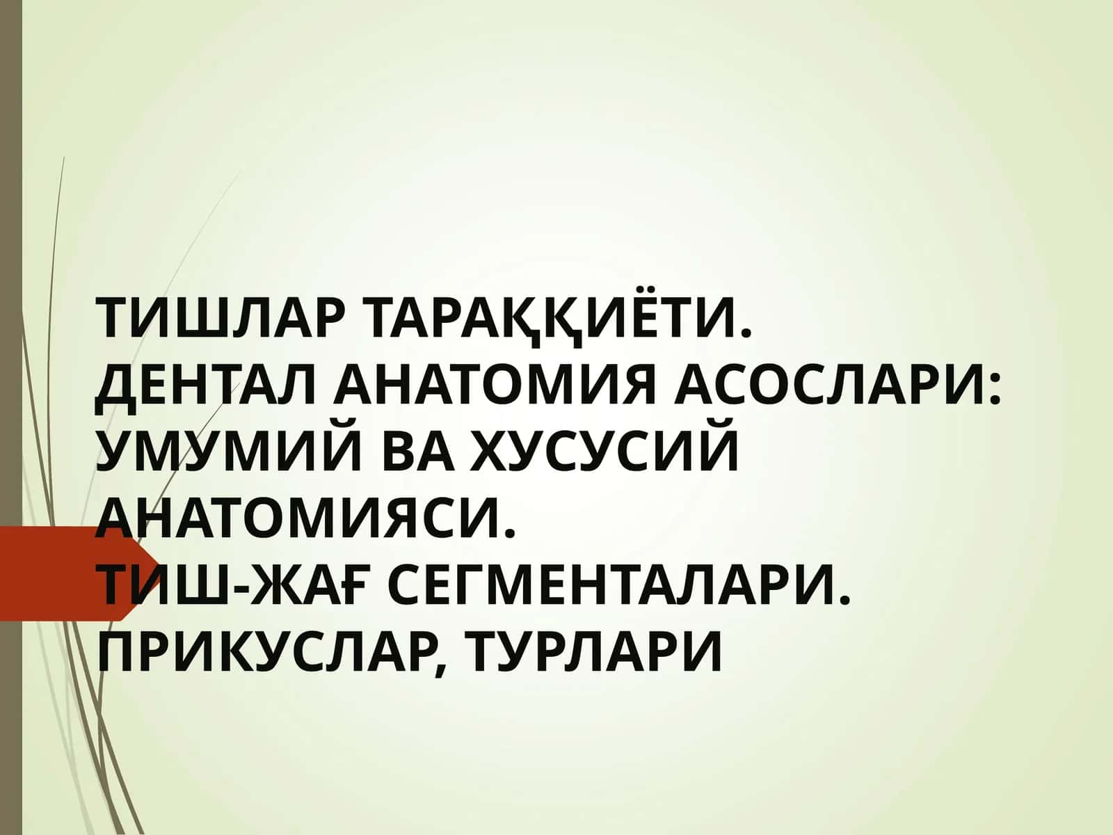 TISHLAR