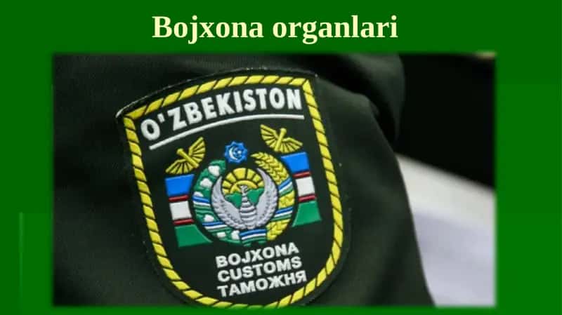 Bojxonaorganlari