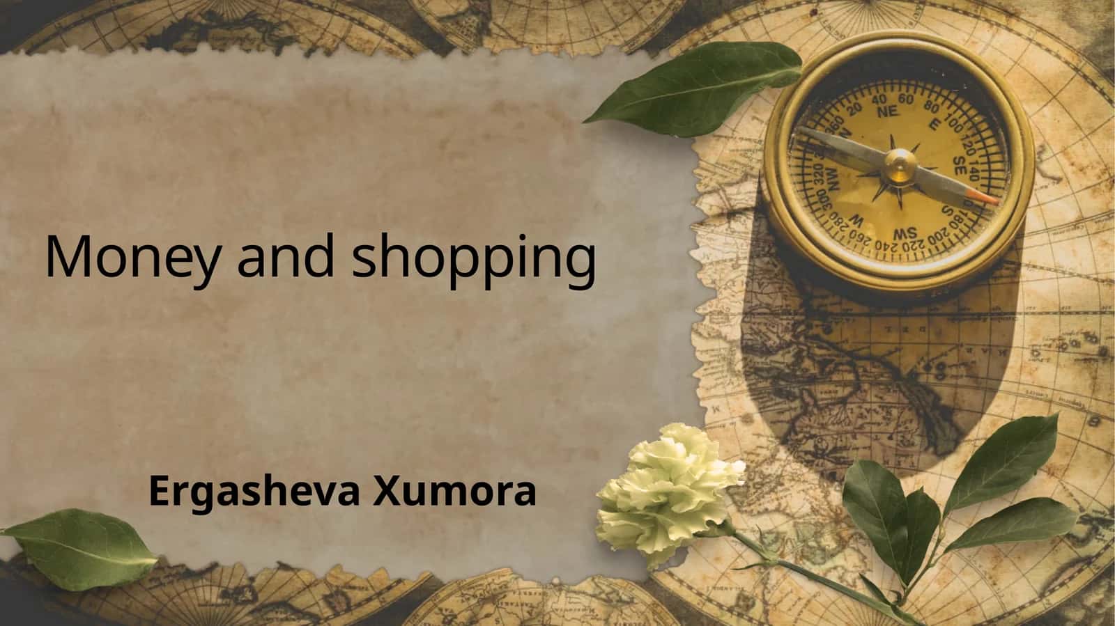 Money and shopping