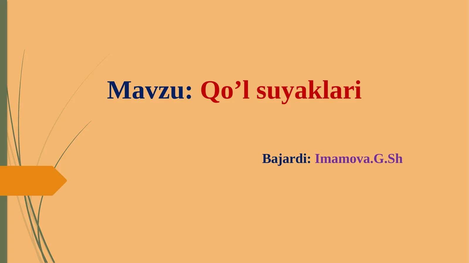 Qo’lsuyaklari