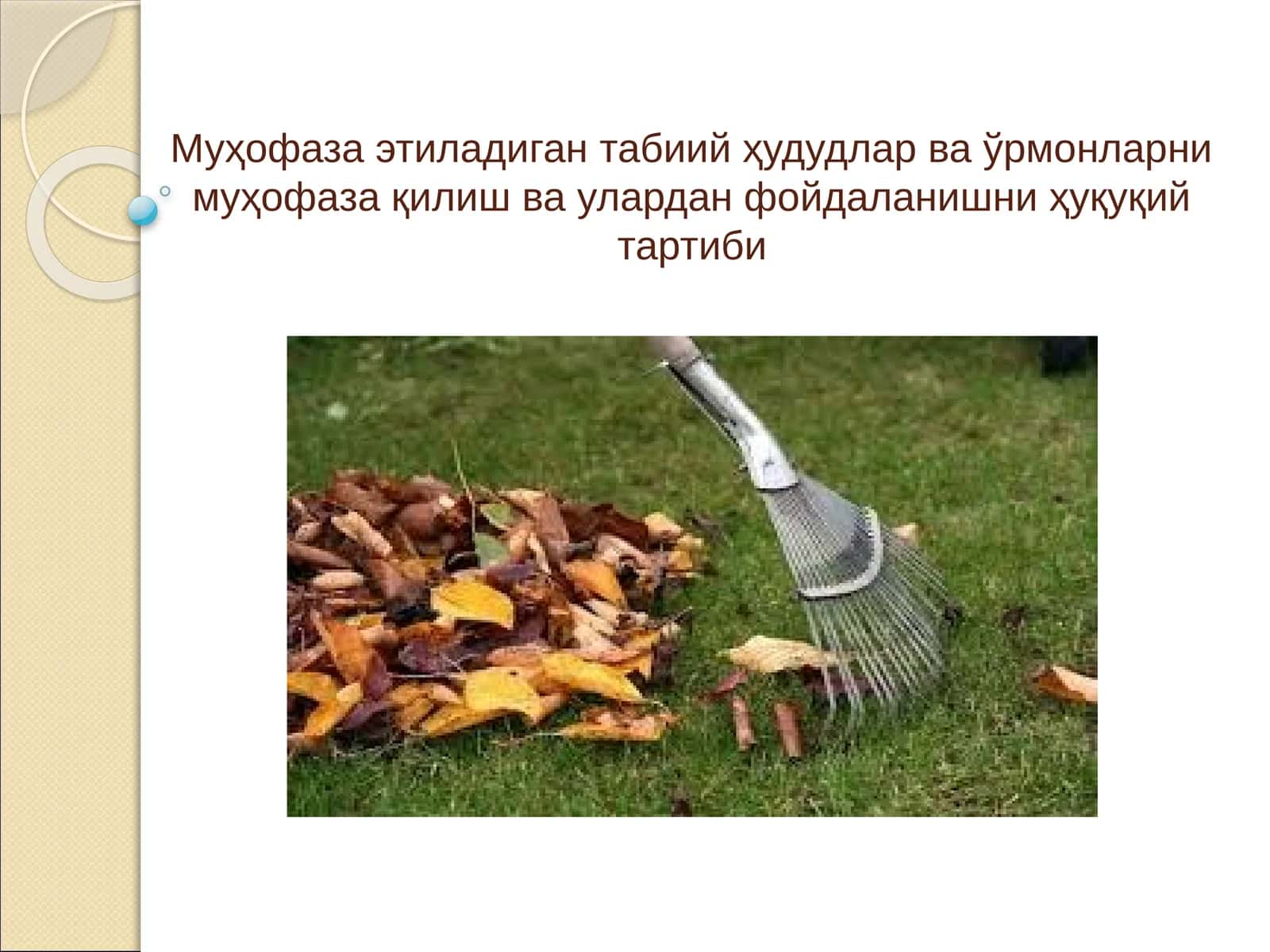 Муҳофазаэтиладиган табиий ҳудудлар ва ўрмонларни муҳофаза қилиш ва улардан фойдаланишни ҳуқуқийтартиби