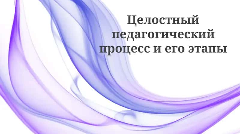 Целостный педагогический процесс