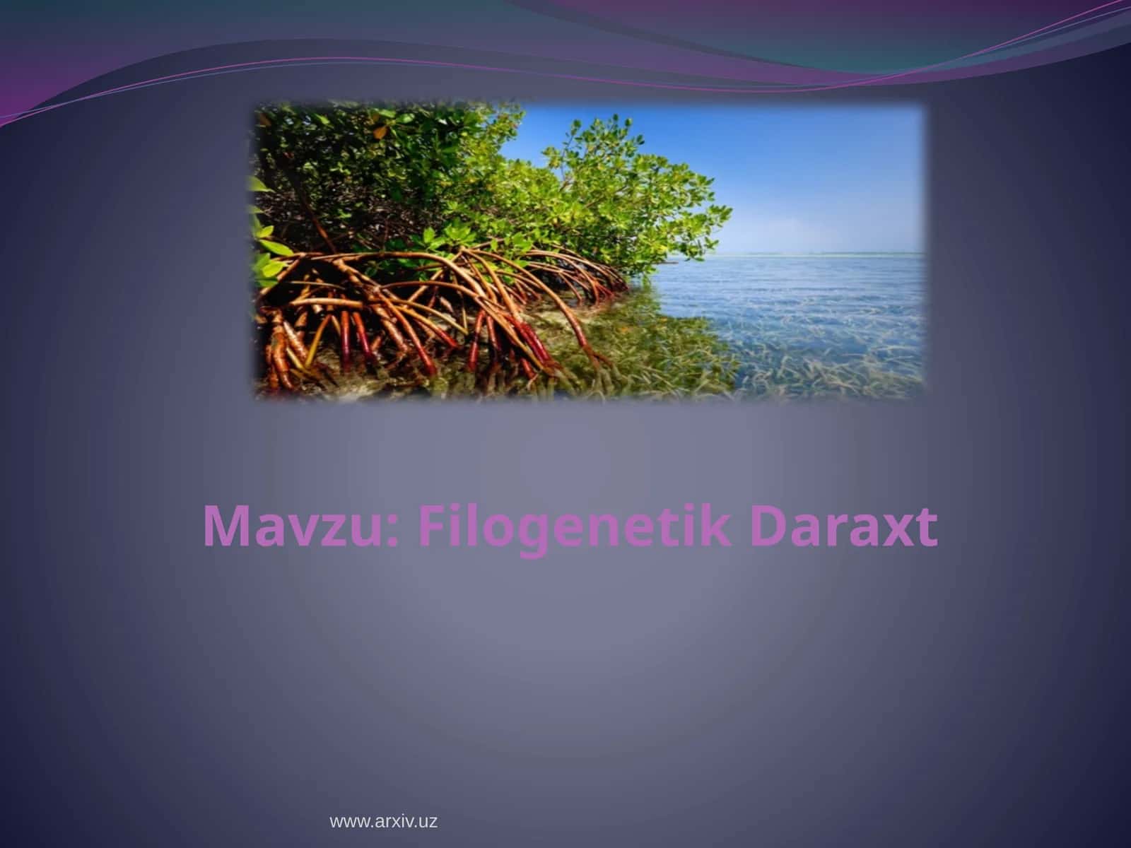 Filogenetik daraxt