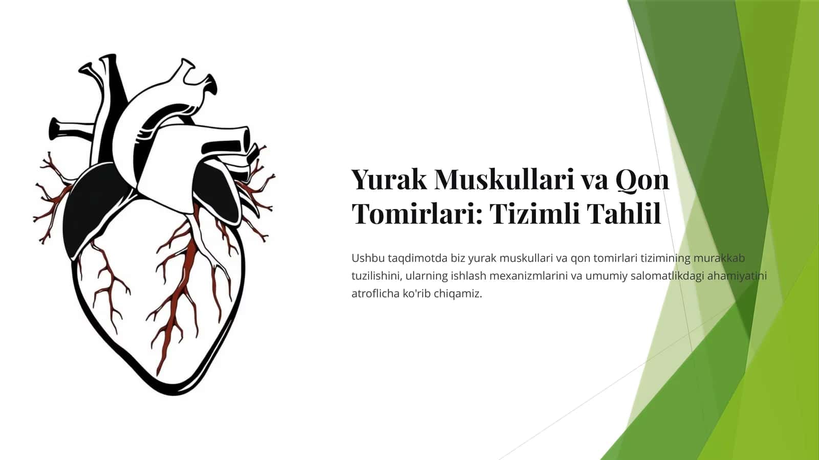 Yurak Muskullari va Qon Tomirlari: Tizimli Tahlil