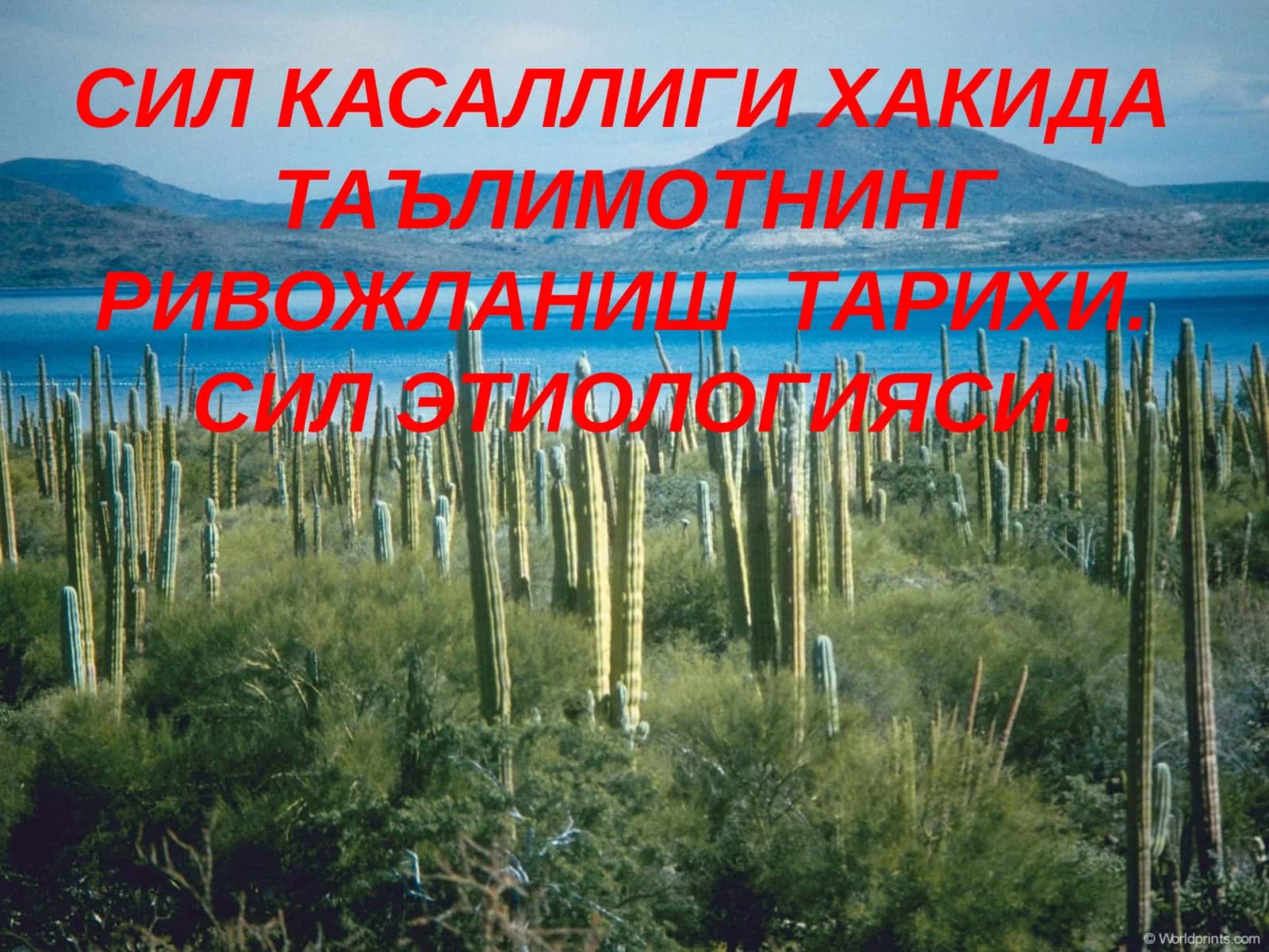 Сил Касаллиги Хакидда Таълимотнинг Ривожланиш Тарихи