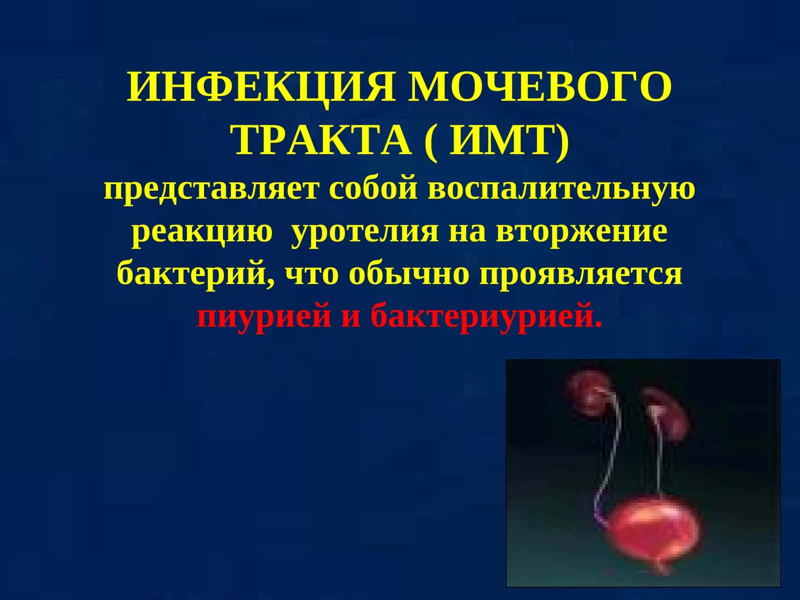 ИНФЕКЦИЯ МОЧЕВОГО ТРАКТА ( ИМТ)