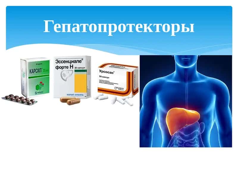 Гепатопротекторы