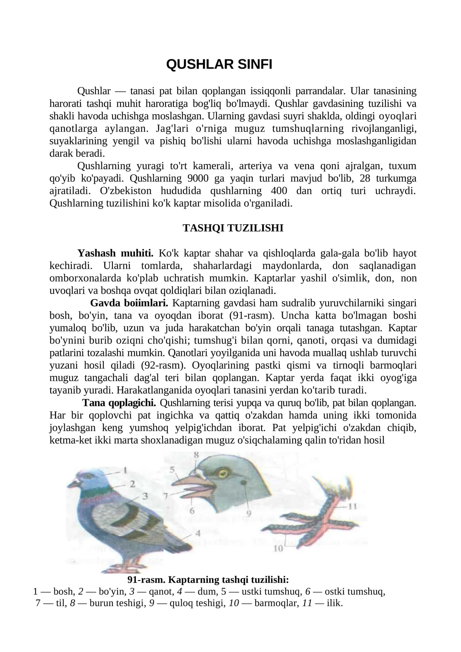 QUSHLAR SINFI