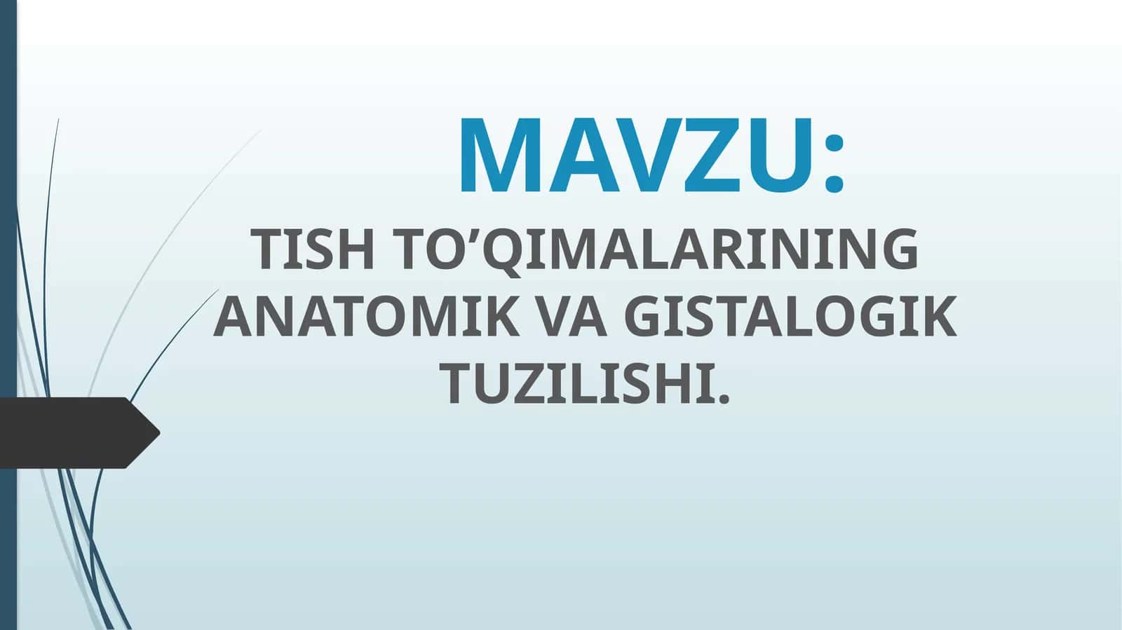 TISHTO’QIMALARINING ANATOMIK VA GISTALOGIK TUZILISHI