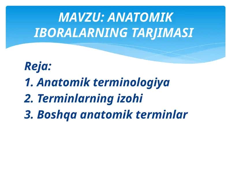ANATOMIK IBORALARNING TARJIMASI