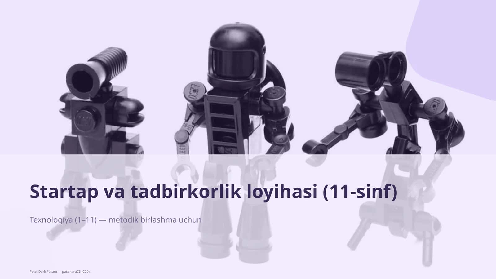 Startap va tadbirkorlik loyihasi (11-sinf)