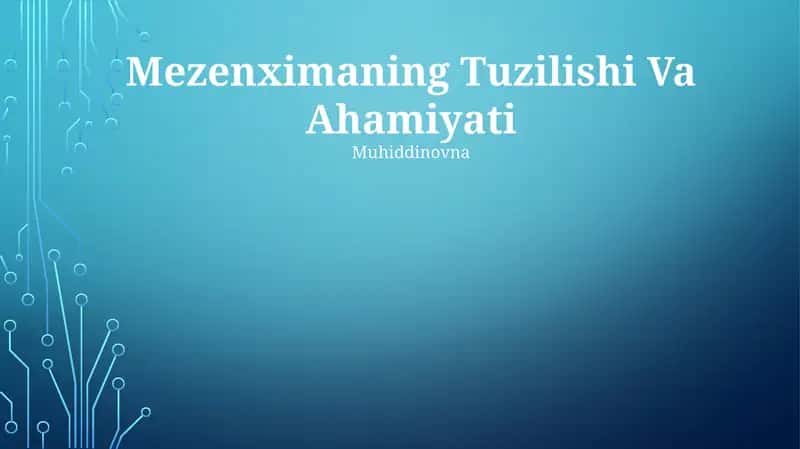 Mezenximaning Tuzilishi Va Ahamiyati
