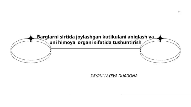 Barglar kutikulasi