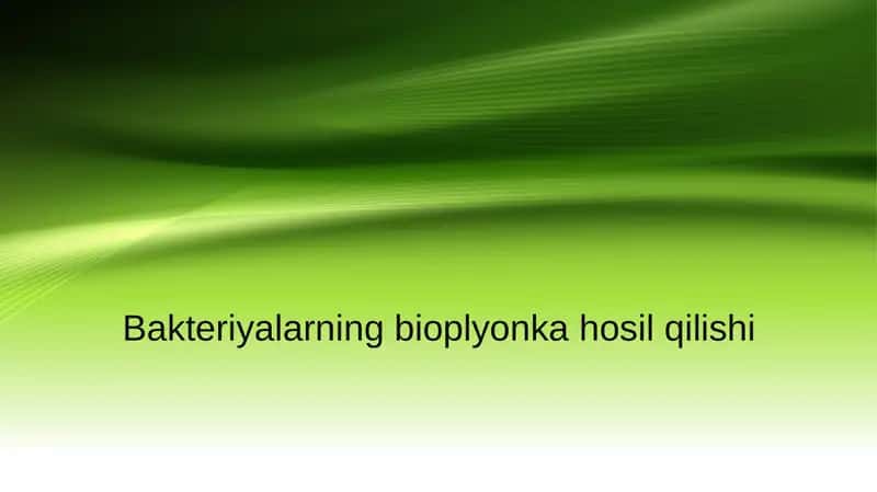 Bakteriyalarning bioplyonka hosil qilishi