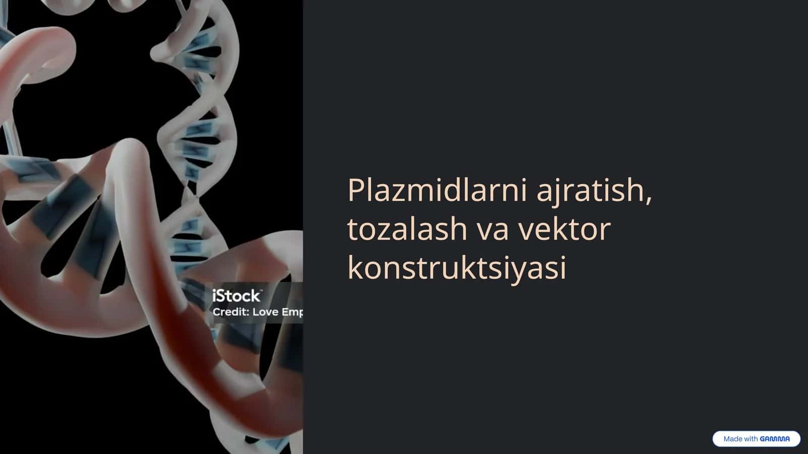 Plazmidlarni ajratish, tozalash va vektor konstruktsiyasi