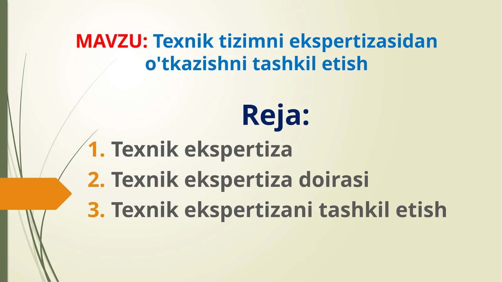 Texnik tizimni ekspertizasidan o'tkazishni tashkil etish
