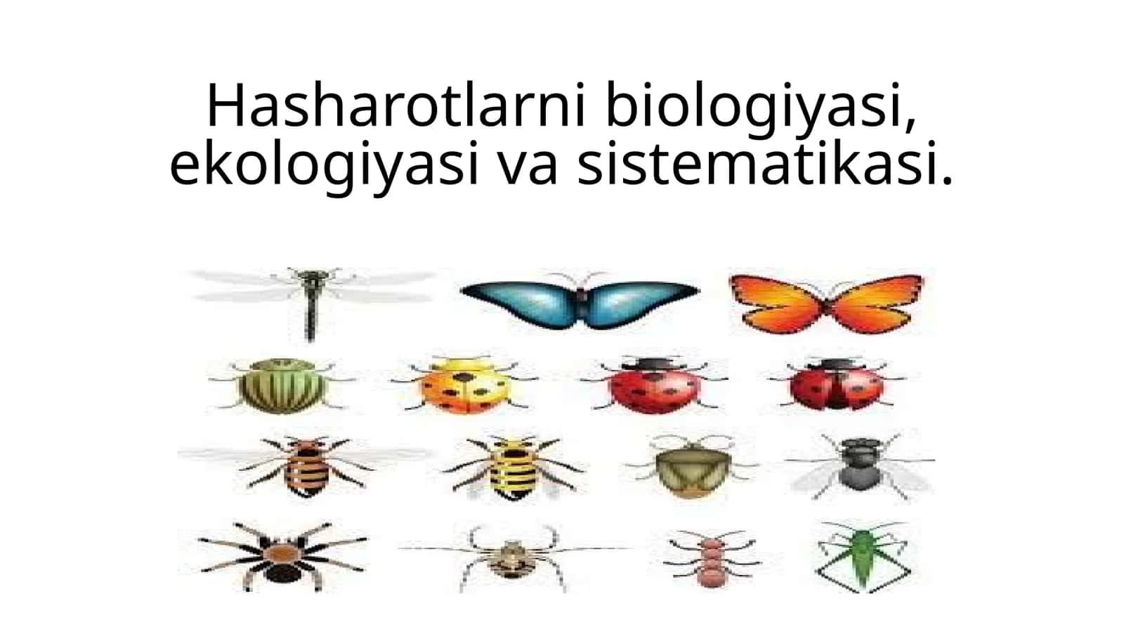 Hasharotlarni biologiyasi, ekologiyasi va sistematikasi