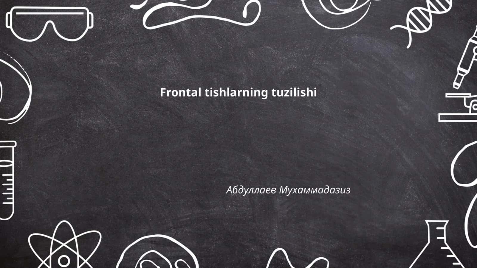 Frontal tishlarning tuzilishi