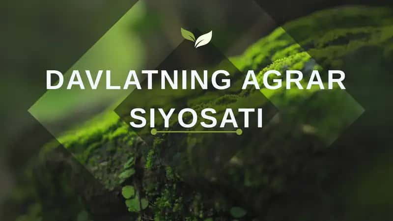 DAVLATNING AGRAR SIYOSATI