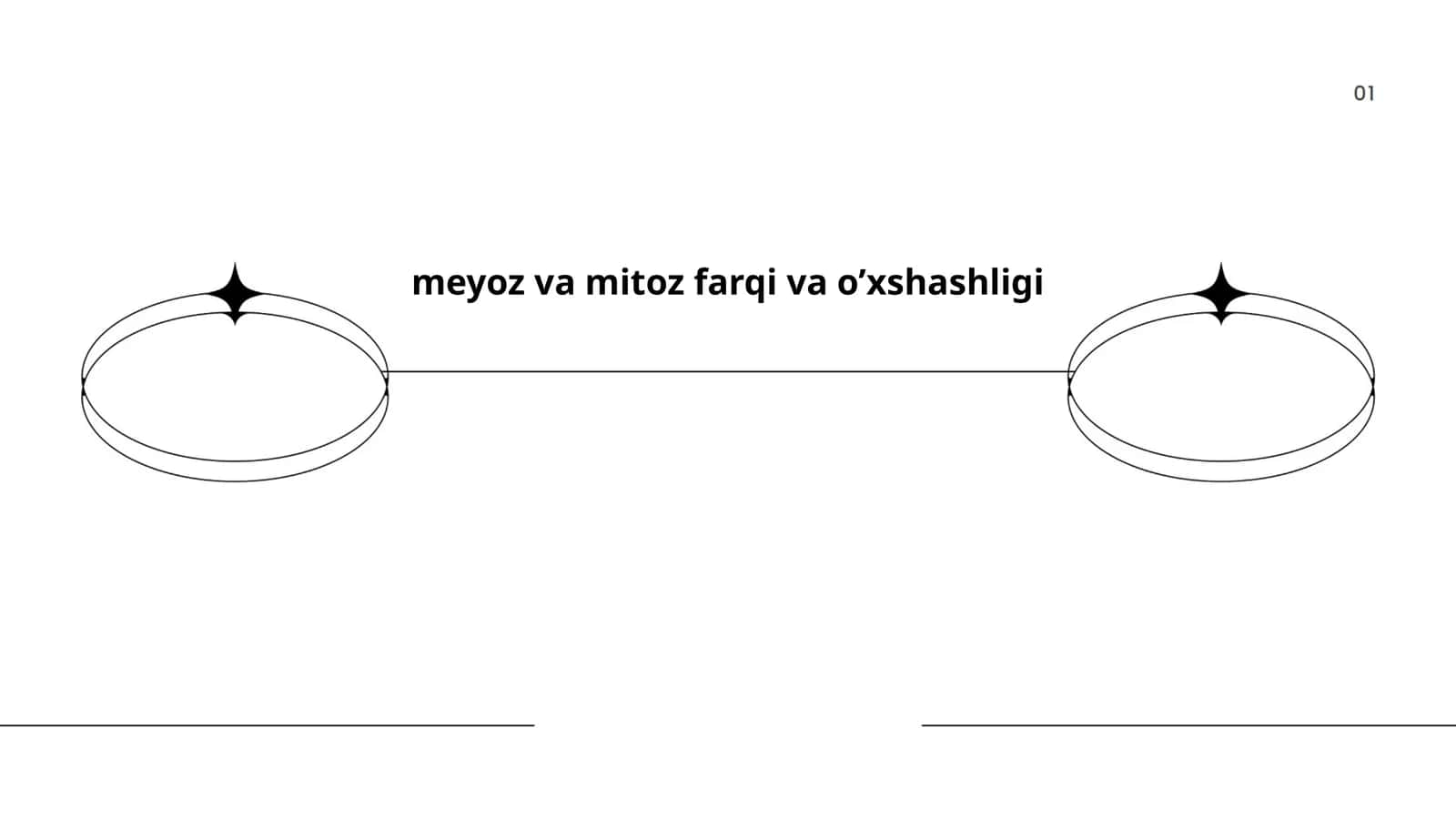 Meyoz va Mitoz Farqi va O’xshashligi