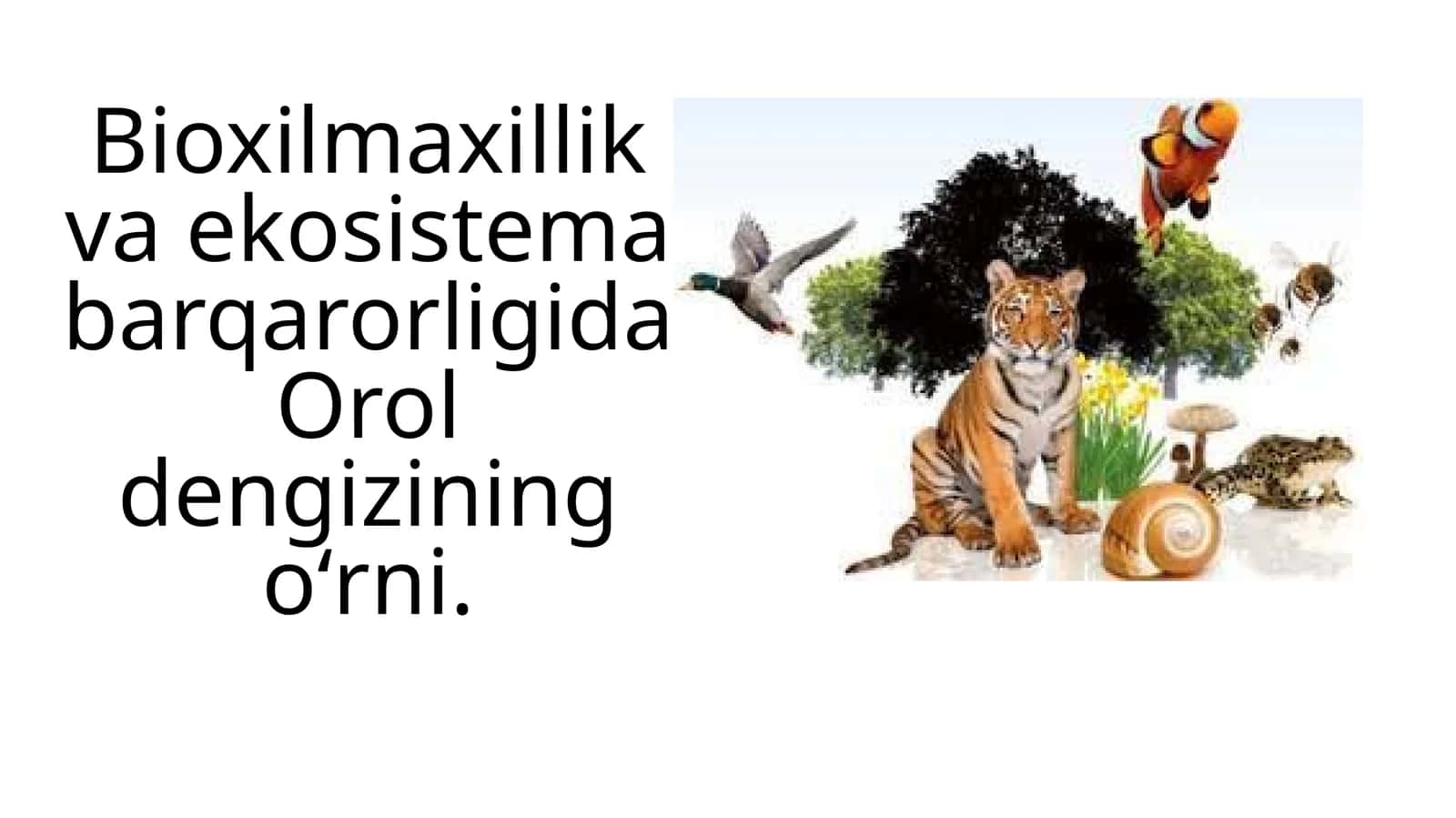 Bioxilmaxillik va ekosistema barqarorligida Orol dengizining oʻrni