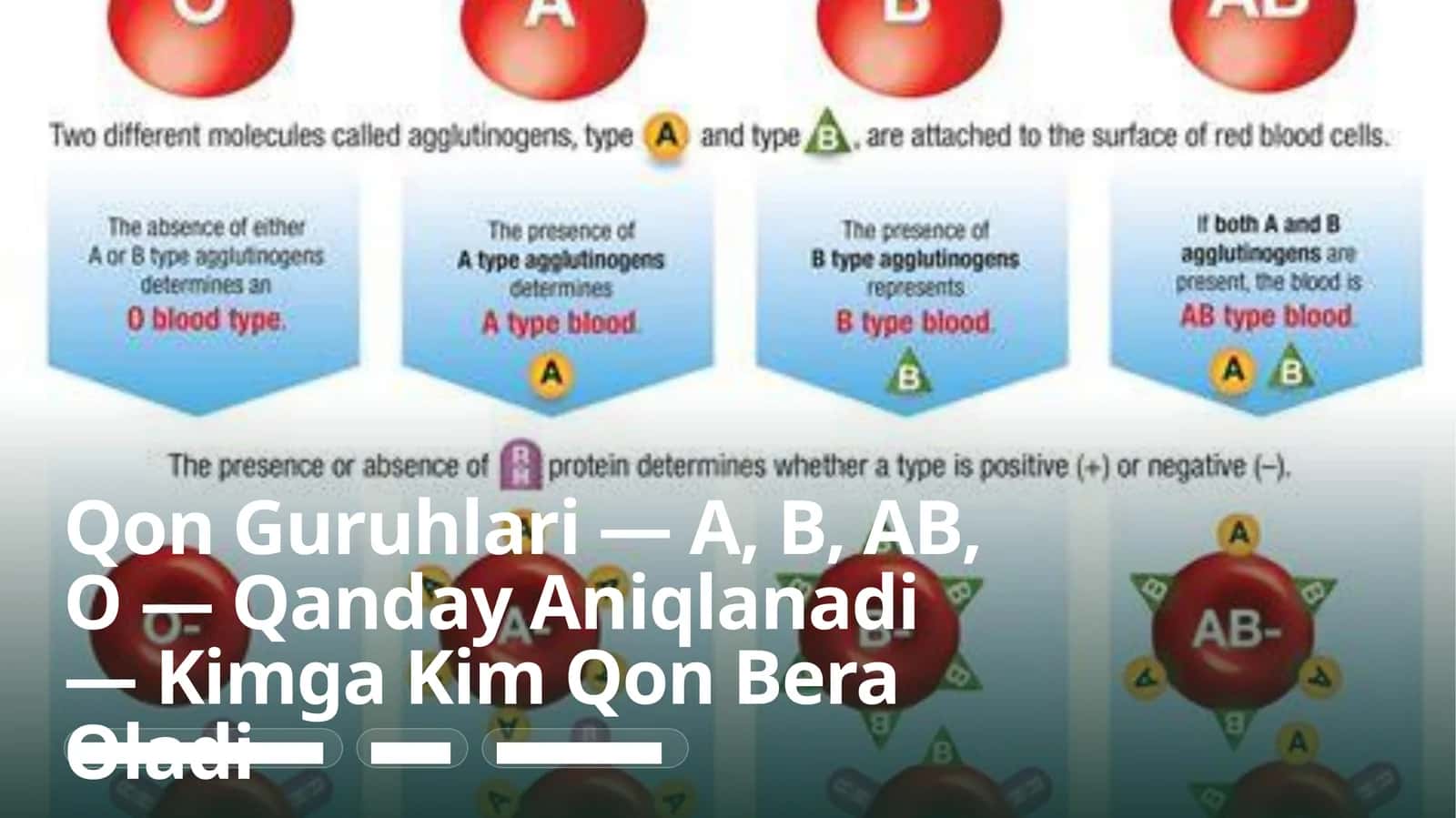 Qon Guruhlari — A, B, AB, O — Qanday Aniqlanadi — Kimga Kim Qon Bera Oladi (Prezentatsiya)