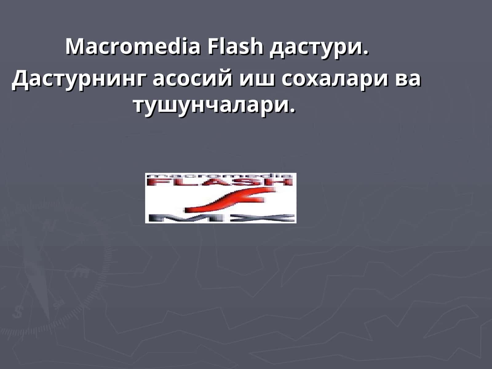 Macromedia Flash дастури
