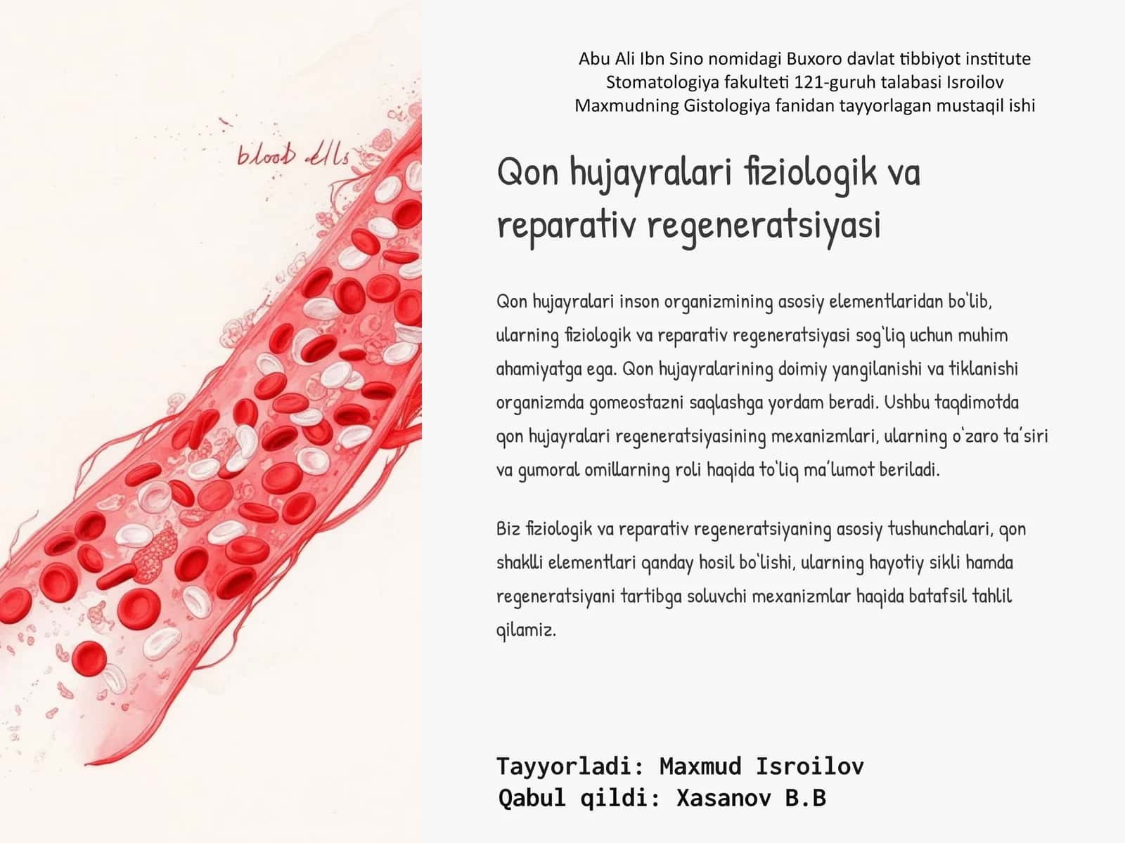 Qon hujayralari fiziologik va reparativ regeneratsiyasi