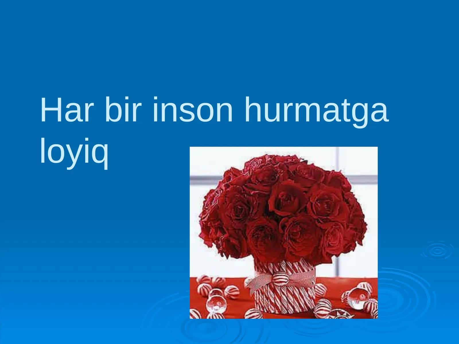 Har bir inson hurmatga loyiq