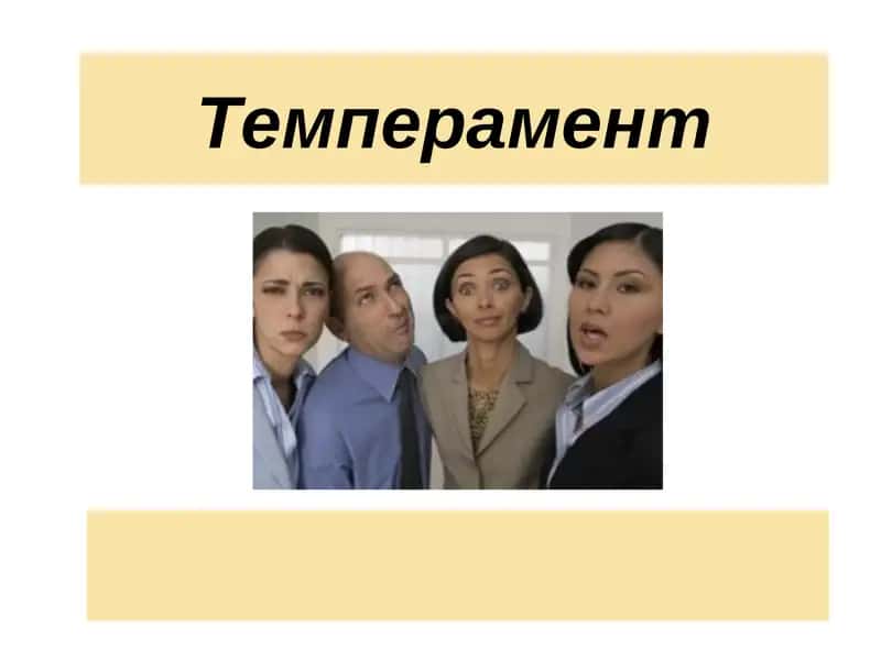 Темперамент