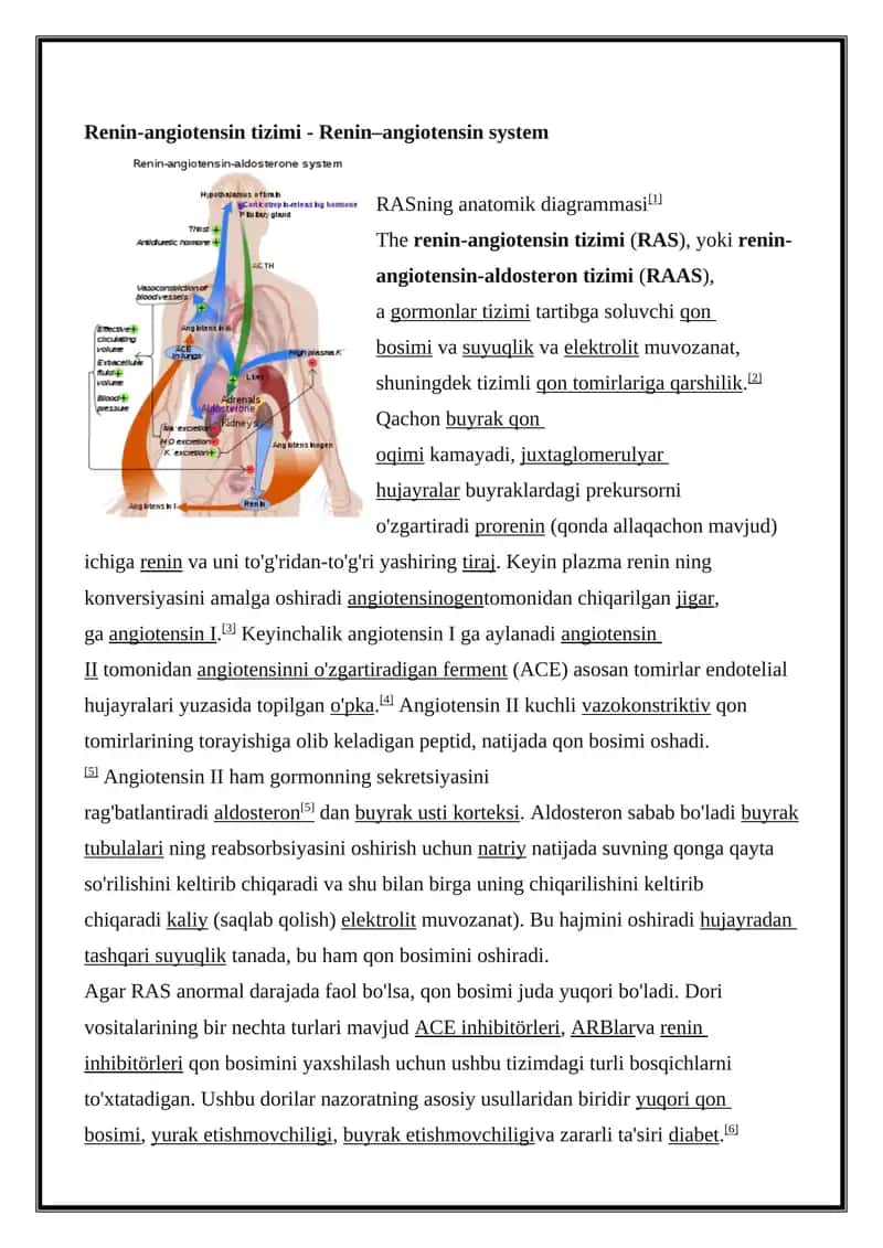 Renin-angiotensin tizimi