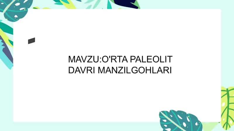 O'RTAPALEOLITDAVRIMANZILGOHLARI
