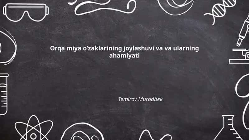 Orqa miya oʻzaklarining anatomik tuzilishi