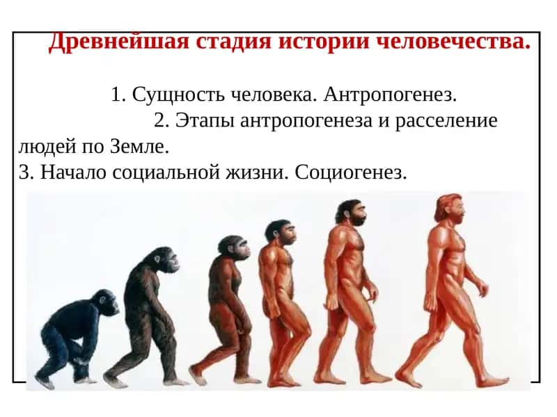 Древнейшая стадия истории человечества