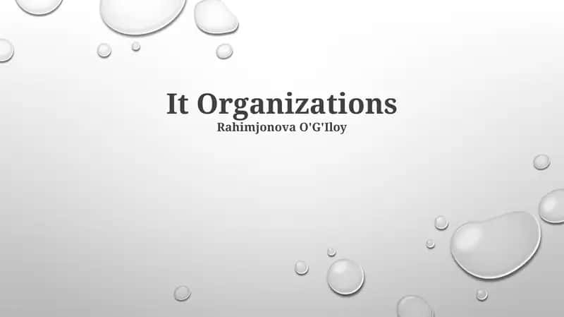 IT Organizations