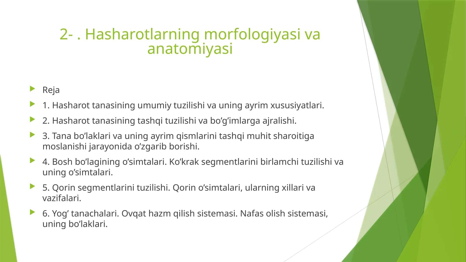 Hasharotlarning morfologiyasi va anatomiyasi