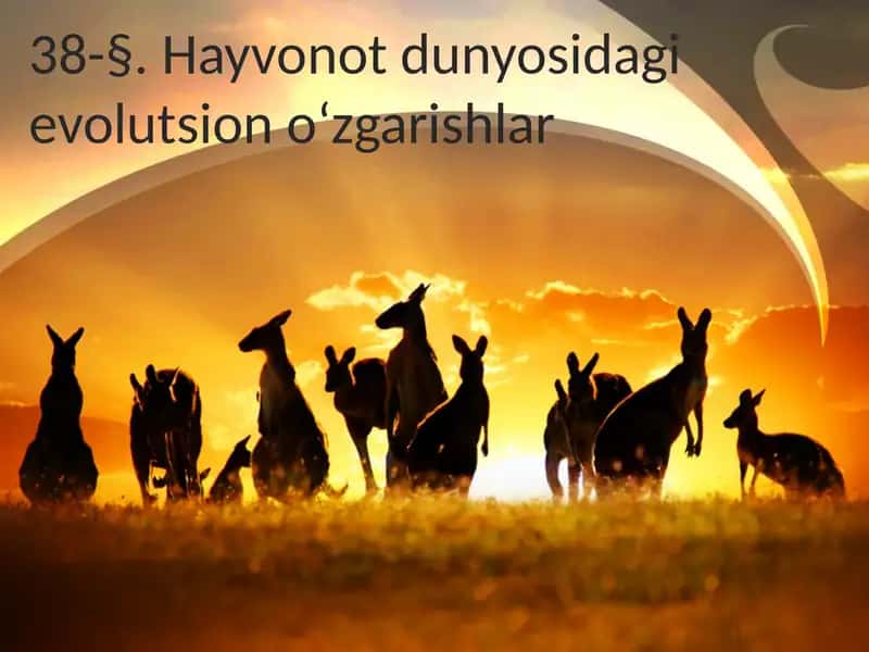 Hayvonotdunyosidagi evolutsiono‘zgarishlar