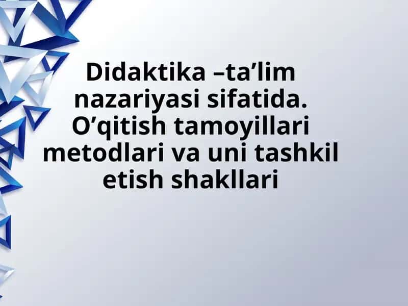 Didaktika –ta’lim nazariyasi sifatida. O’qitish tamoyillari metodlari va uni tashkil etish shakllari