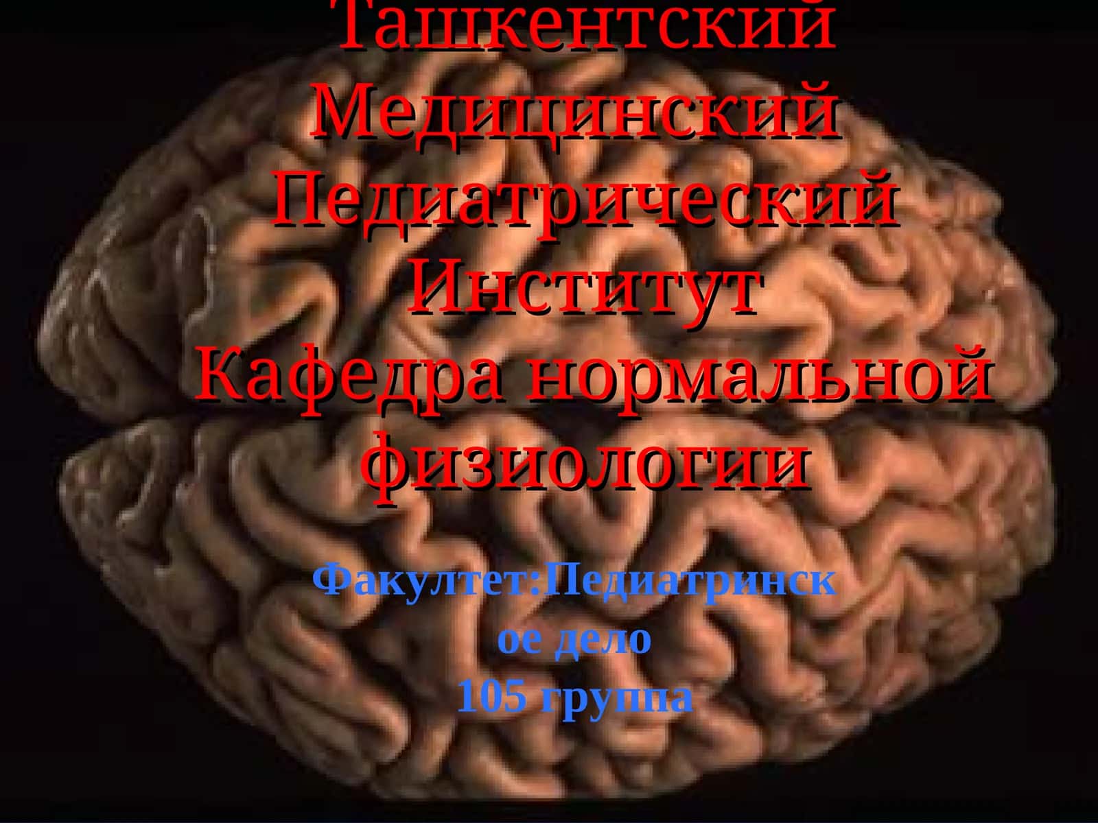 Нейрофизиология