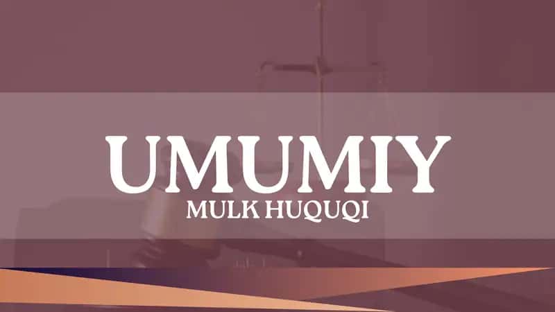 Umumiy Mulk Huquqi