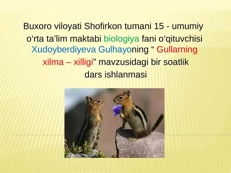 "Gullarning xilma - xilligi" mavzusidagi bir soatlik dars ishlanmasi