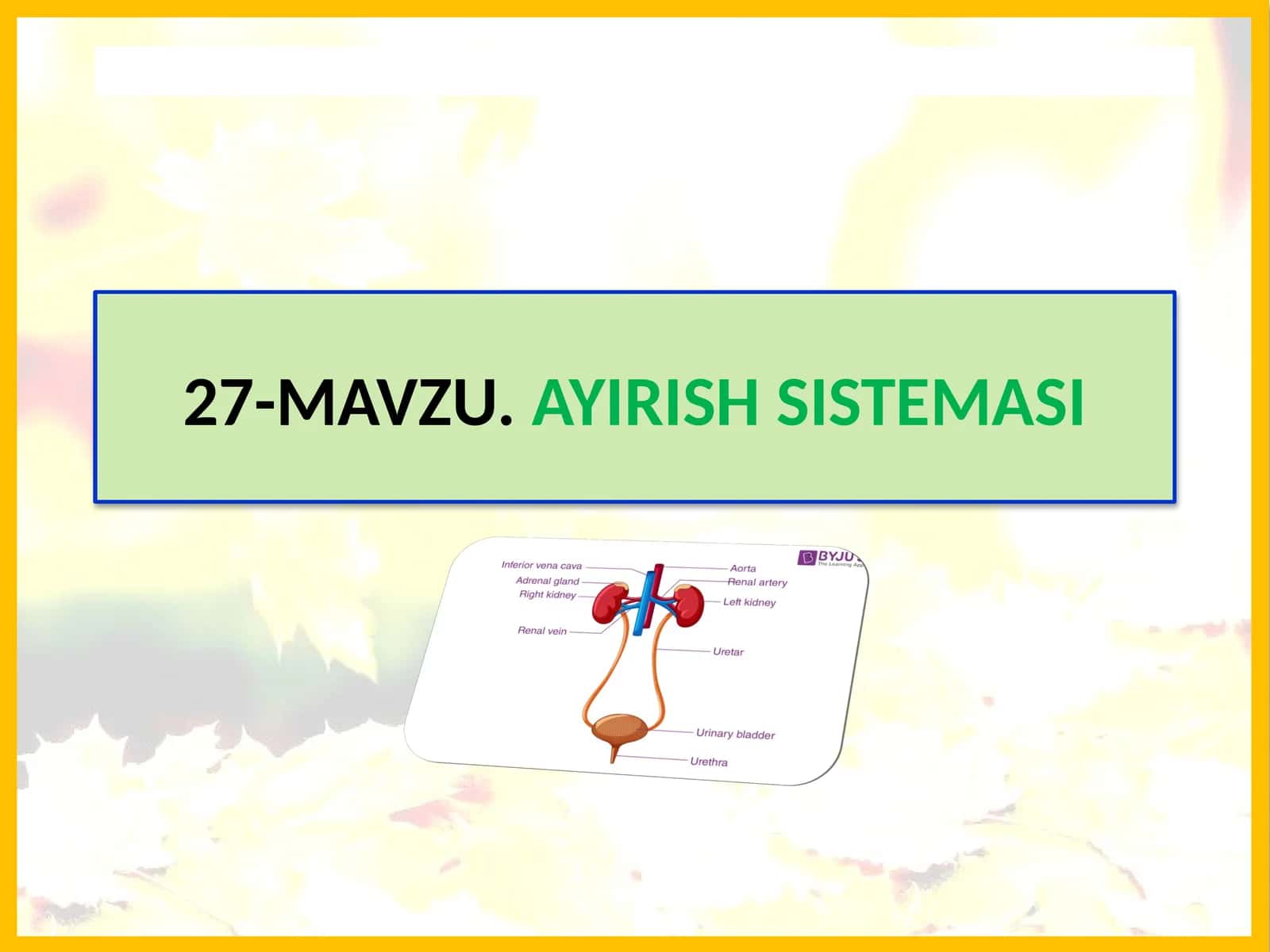 Mavzu.Ayirish Sistemi